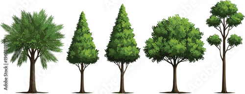 Diverse collection of five realistic green trees including palm and pine species isolated on white background for landscape design architecture and environmental illustrations.