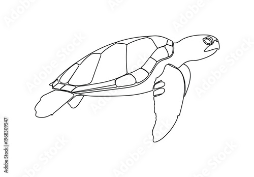 Turtle Swim. Minimalistic one-line drawing side view of sea turtle gliding underwater, continuous single black line on white background, simple outline style,