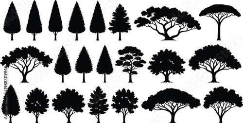 Large collection of black tree silhouettes featuring various species like pine oak and spruce isolated on white background for landscape design and architecture.