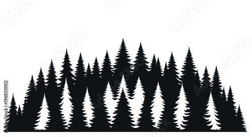 Silhouette of a dense evergreen forest landscape.