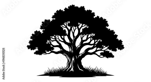 Silhouette of a Majestic Ancient Oak Tree with Lush Foliage.
