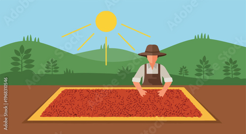 A farmer drying freshly harvested coffee beans under the bright morning sunshine