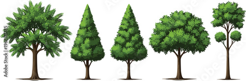 Set of five different green tree illustrations featuring various shapes like conical and round isolated on white background for landscape design and architecture.