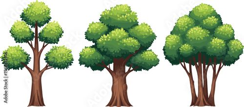 Set of three lush green trees with thick brown trunks in flat cartoon style isolated on white background for landscape design and illustrations.