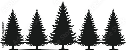 Black silhouette collection of pine trees and spruce forest conifers isolated on white background for outdoor nature landscape design and wilderness wood project