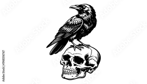A raven silhouette illustration perched on a human skull icon