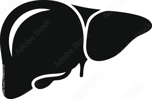 vector illustration of a human organ