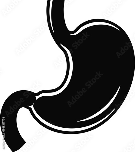 black and white illustration of stomach