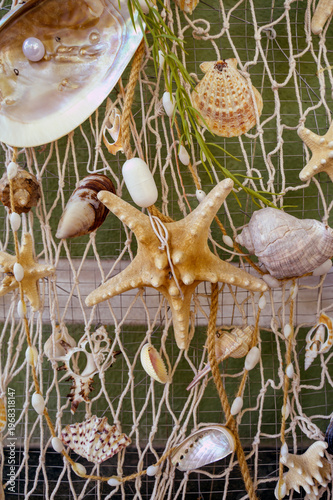 Natural sea star with diverse shells on a nautical net layout. Vivid colors of nature.