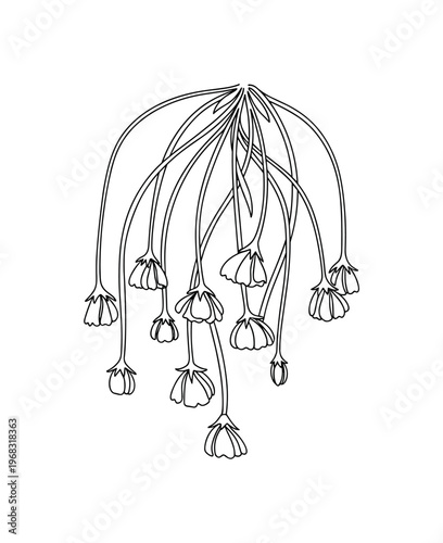 Sagging Stems. Minimalistic one-line drawing stems curving downward with drooping flowers, continuous single black line on white background, simple outline