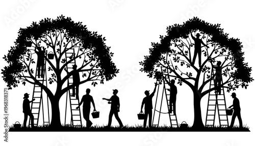 Tree workers pruning branches in a vector silhouette illustration