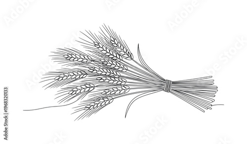 Harvested Wheat. Minimalistic one-line drawing bundled wheat stalks with kernels, continuous single black line on white background, simple outline style, no