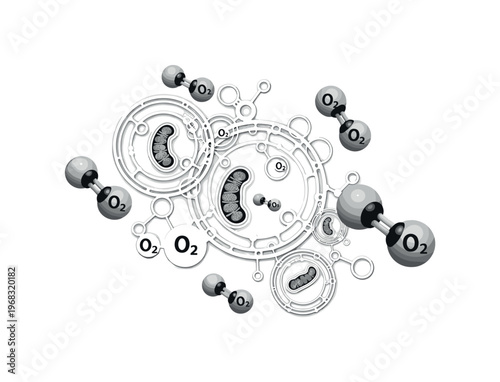 cellular respiration circular grids thin lines and abstract mitochondria icons realistic monochrome oxygen molecules facilitating energy production inside