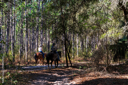 Two horses riders in the Ocala forest
