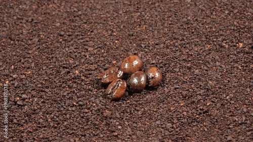 Rotating macro background of whole roasted coffee beans resting on rich ground coffee. Cinematic focal point for premium cafe and barista projects.