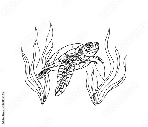 Marine Life. Minimalistic one-line drawing sea turtle swimming among underwater plants, continuous single black line on white background, simple outline style,