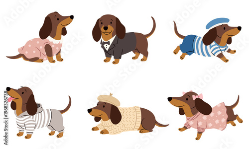 Cute dachshunds in various outfits, dresses, hoodies, and suits, along with berets. A collection of flat vector illustrations in a simple, child-friendly style . Vector illustration