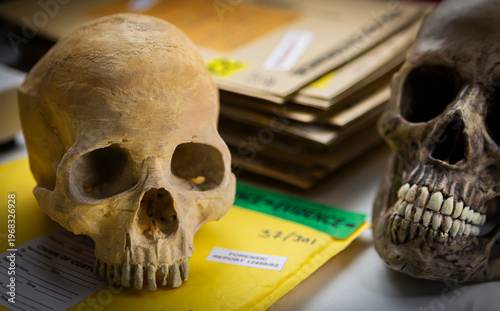 Skull of adult human next to an evidence bag in forensic laboratory, conceptual image.