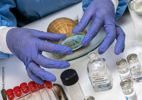 Expert analyzes stuffed meat contaminated by bacterium of listeria in laboratory