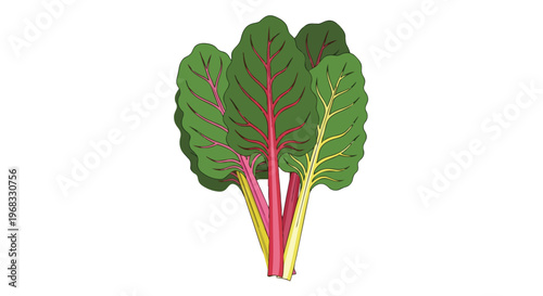 Vibrant, stylized illustration of rainbow chard with colorful stems and green leaves against a white backdrop, perfect for healthy eating concepts