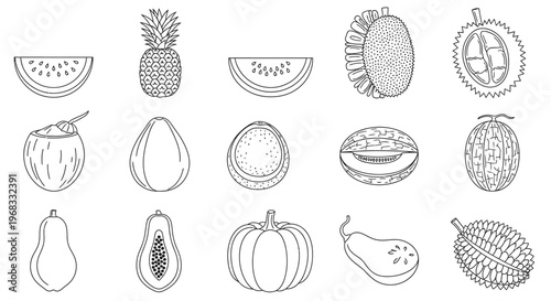Variety of Fruit Illustrations.