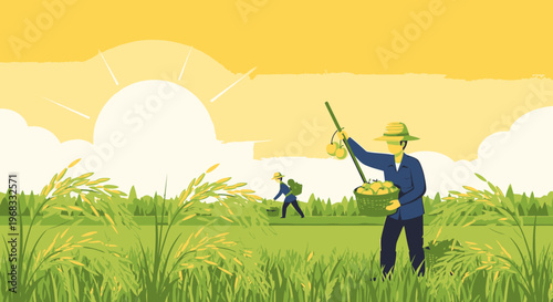 Man harvesting rice in the field.