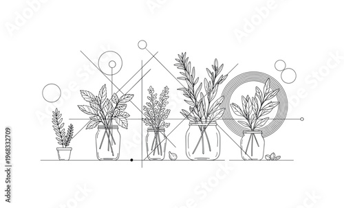 herb display geometric circles intersecting lines and abstract sprout icons detailed monochrome kitchen or indoor herb plants arranged in jars or pots with