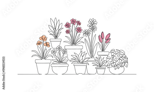 Flower Pots Display. Minimalistic one-line drawing arrangement of colorful flowering plants, continuous single black line on white background, simple outline