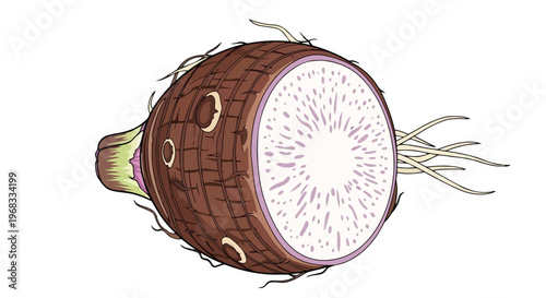 Depiction of a sliced taro root showcasing its distinctive speckled interior and fibrous root system on a white background
