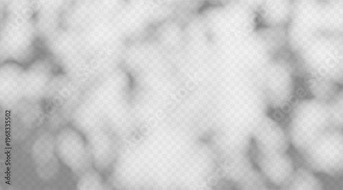 Abstract foliage tree branch and crown shadow overlay isolated on transparent background. Soft blurred foliage silhouette with gentle light shade.