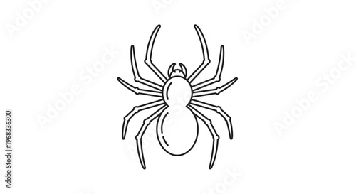 Spider from above view clearly.