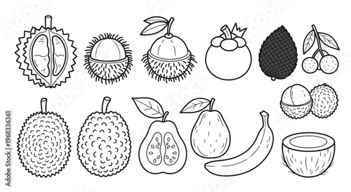 Variety of exotic tropical fruits drawing.