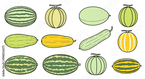 Variety of melons and squash types.