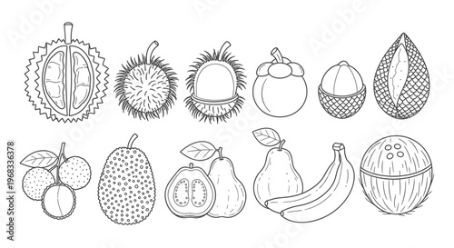 Variety of fruit illustrations in black.