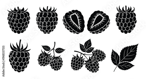 Raspberry fruit and leaves icon set black silhouette vector illustration isolated on white