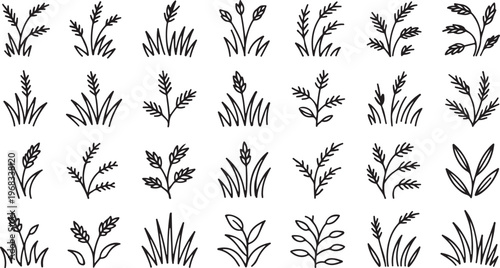 Wheat Ear and Meadow Grass Outline Icon Set of Vector design on transparent background.
