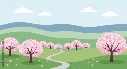 Beautiful Cherry Blossom Trees in Full Bloom.