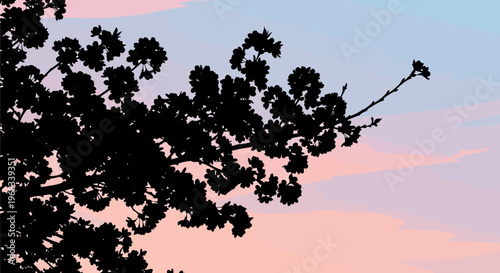 Silhouette of a Tree Branch Against a Pastel Sky.