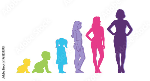 Stages of human female life cycle depicted in silhouettes.
