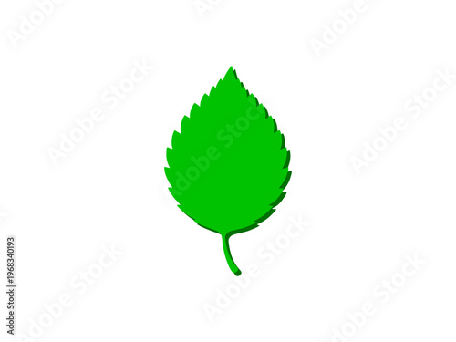 green leaf vector on white background