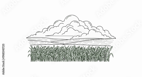 A stylized illustration of clouds over cultivated fields with crops