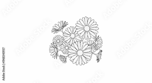 A loose cluster of black outline daisy-like flowers on a white background