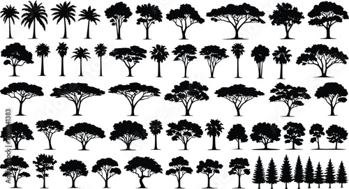 Big collection of tree silhouettes from tropical forest savanna and temperate zones isolated on white background vector set