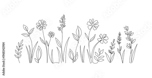 Nature?s Wildflowers. Minimalistic one-line drawing wildflowers scattered across meadow with leaves and stems, continuous single black line on white