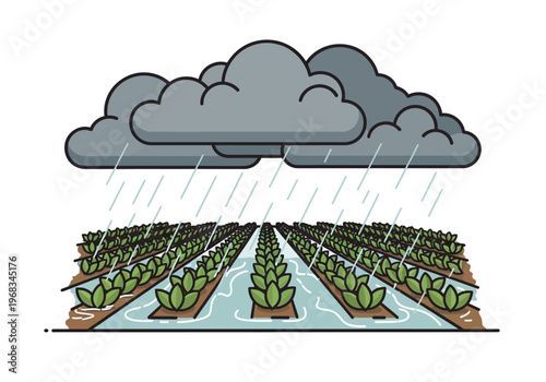 Farm irrigation and crop growth illustration, featuring heavy rainfall over rows of plants