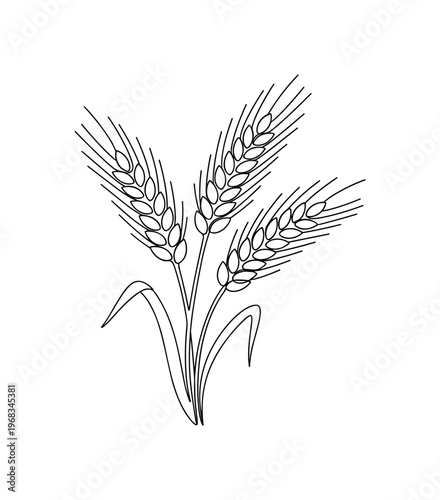 Barley Stalks. Minimalistic one-line drawing barley with elongated grains and curved stems, continuous single black line on white background, simple outline