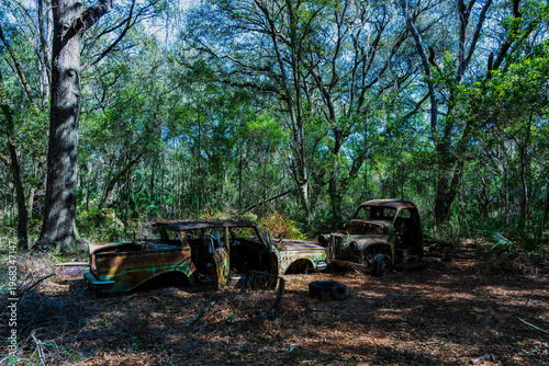 Abandoned vehicles in the Ocala forest