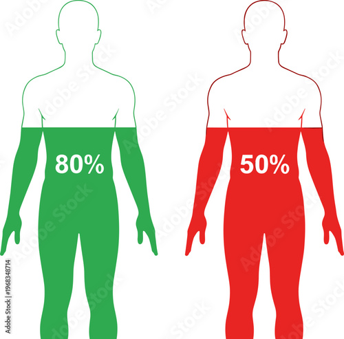 Human body water percentage comparison illustration, hydration levels concept, male silhouette infographic, 80 percent vs 50 percent, healthcare vector design