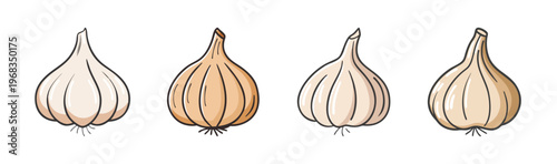 Four hand-drawn garlic bulbs in a row, isolated on white background, cooking ingredient