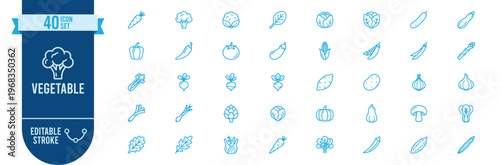 Vegetable icon set. Contains icons related to broccoli, carrot, tomato, pepper, eggplant, cucumber, onion, garlic, mushroom, cabbage, corn, pumpkin and more. Editable stroke.